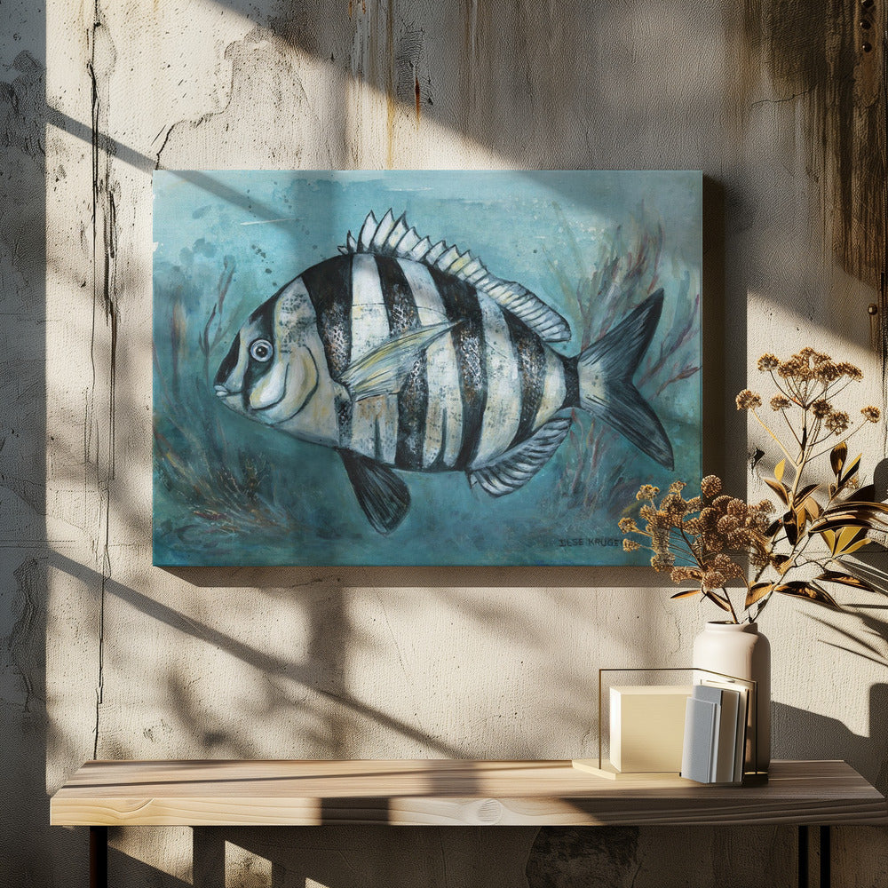 Striped Sea Beauty | Canvas