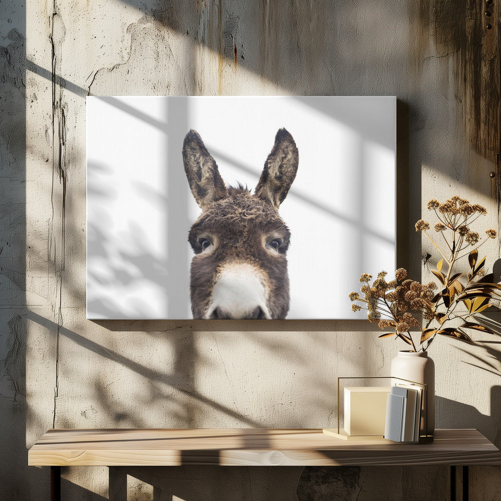 Peeking Donkey | Canvas