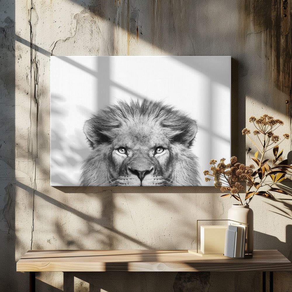 Peeking Lion | Canvas