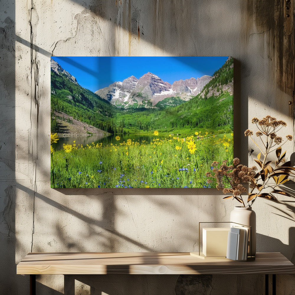 Maroon Bells Wildflowers | Canvas