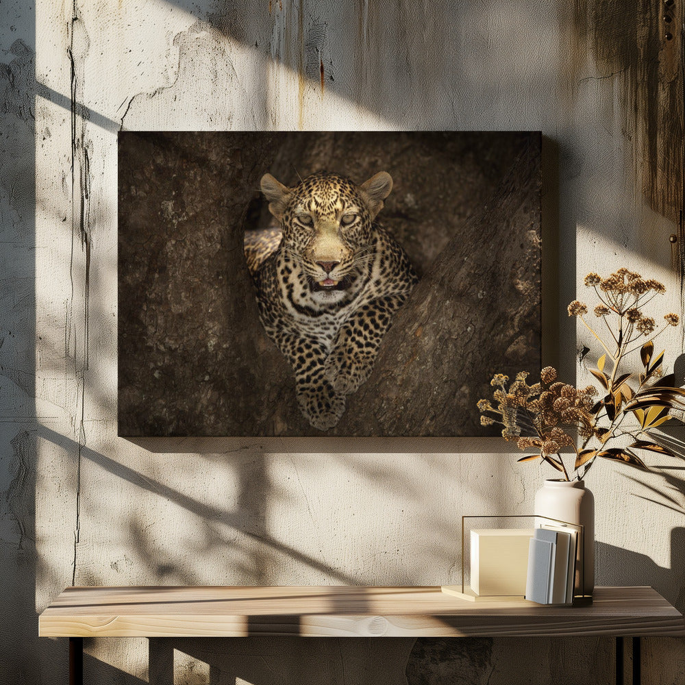 Leopard Resting on a Tree at Masai Mara | Canvas