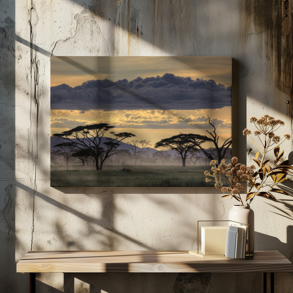 Good evening tanazania | Canvas