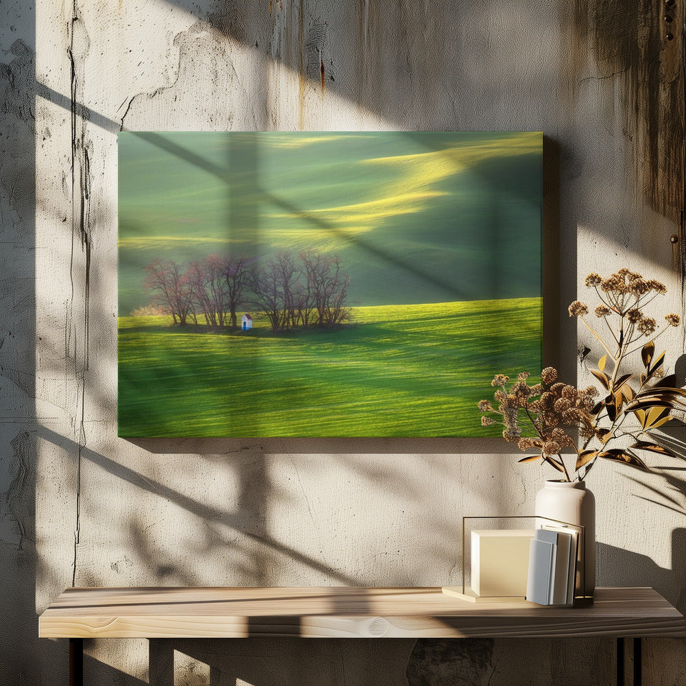 Fields... | Canvas