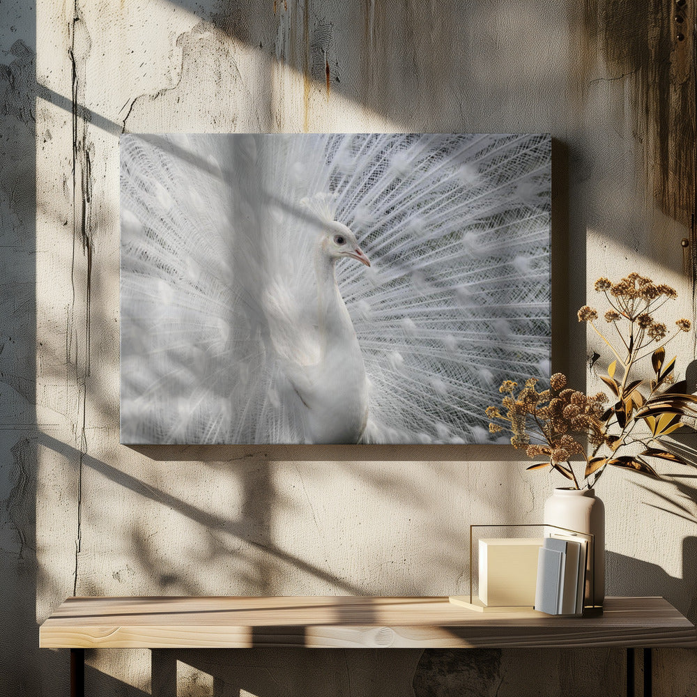 As white as snow | Canvas