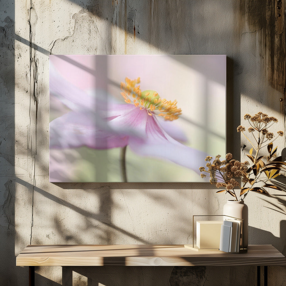 Japanese Anemone | Canvas