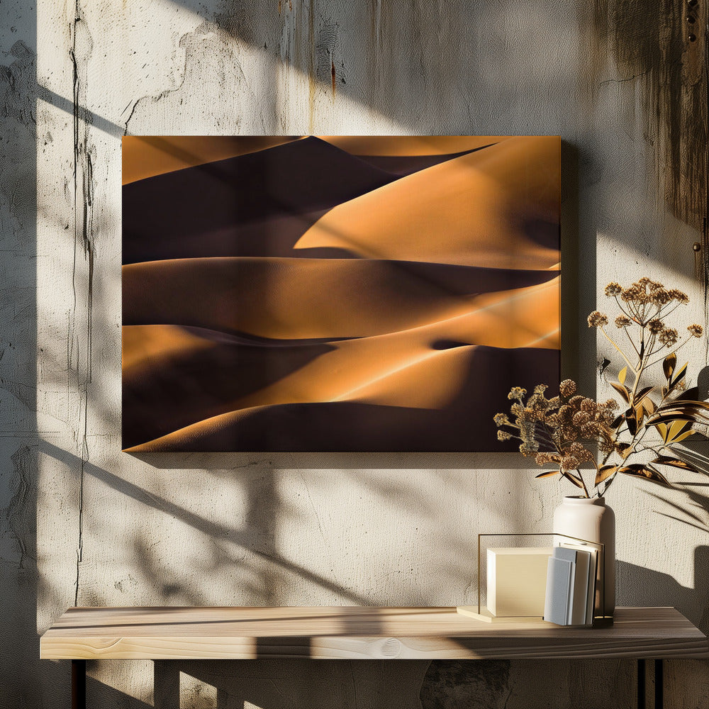 Light and Shadow | Canvas