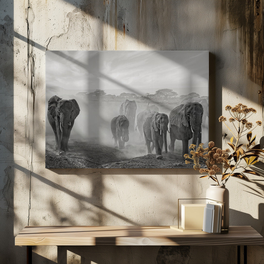 Sequence of emotion | Canvas