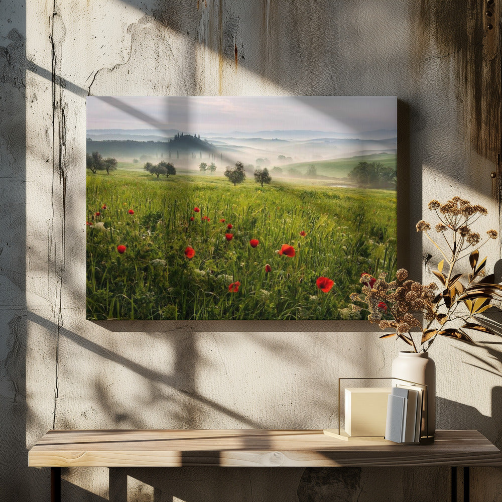 Tuscan spring | Canvas