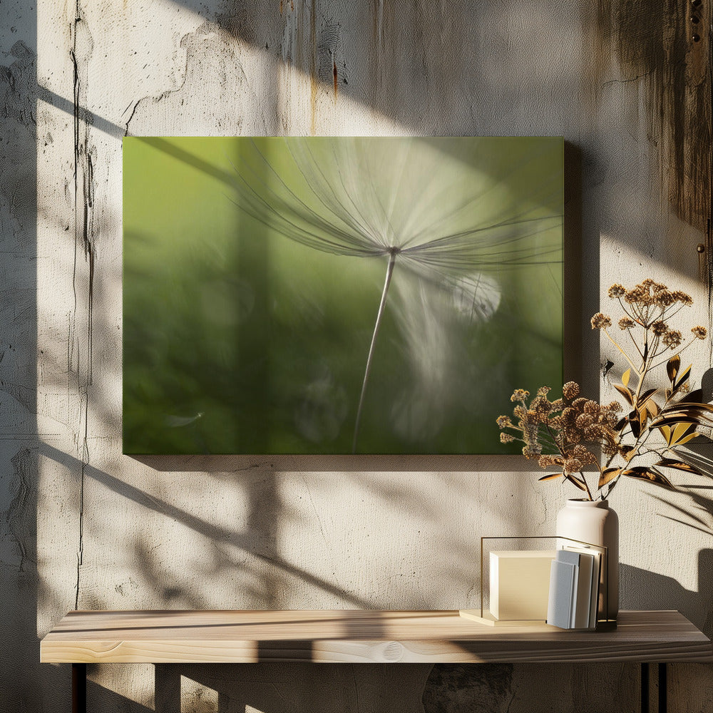 Shadows in the green | Canvas