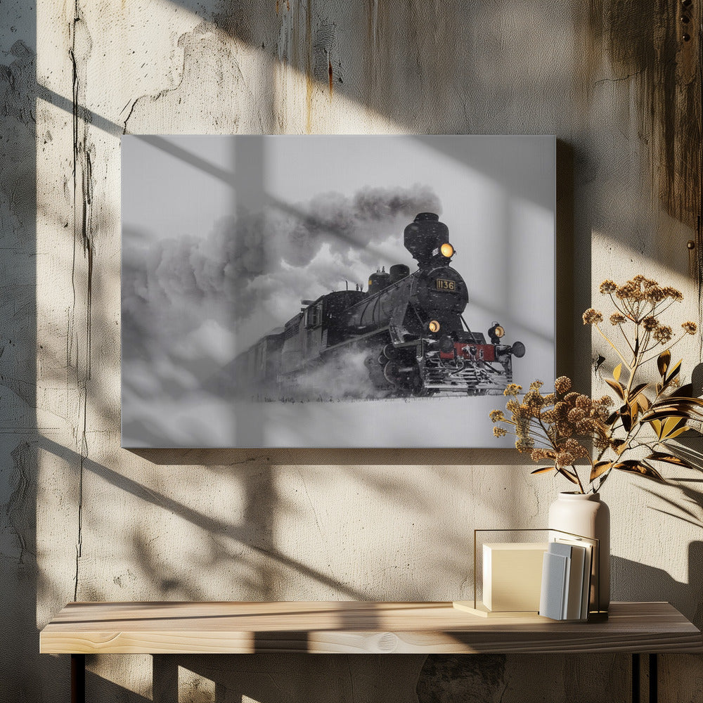 Little-Jumbo | Canvas