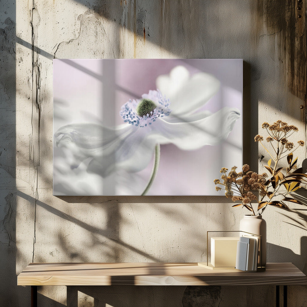 Anemone breeze | Canvas