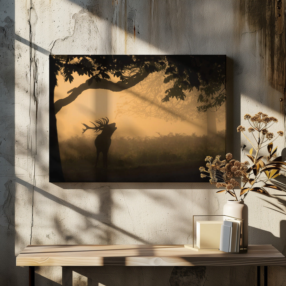 the love call | Canvas