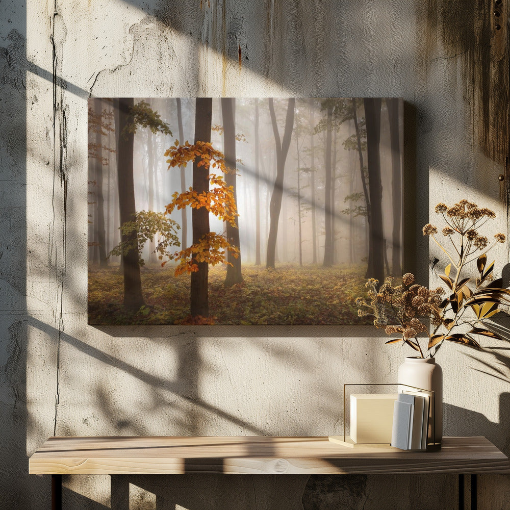 In November Light | Canvas