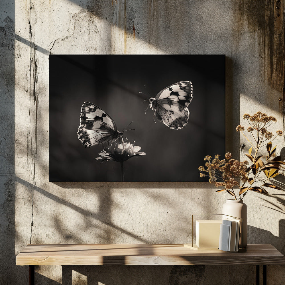 Medioluto norteÃ±a | Canvas