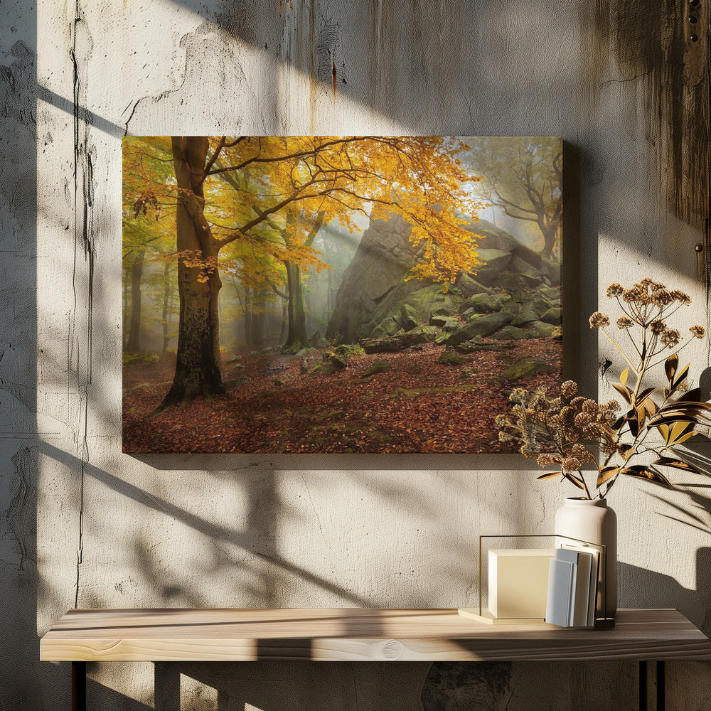 Autumn forest | Canvas