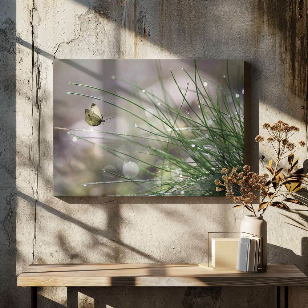 Imminent Landing | Canvas