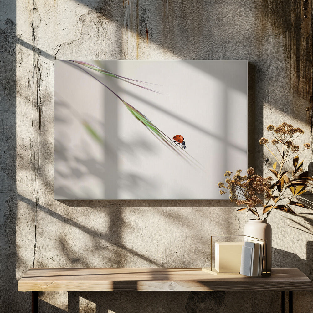 ladybug | Canvas