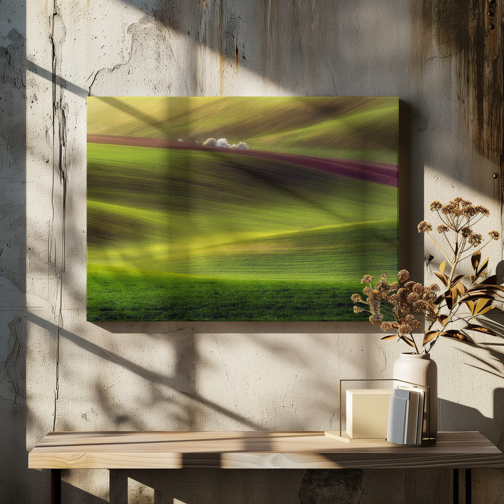 Golden fields | Canvas