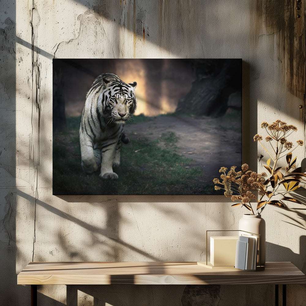 White walker | Canvas