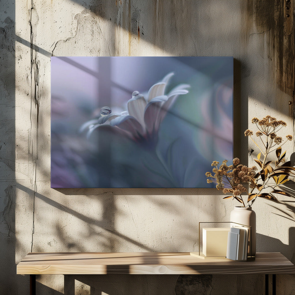 Behind Closed Eyes... | Canvas