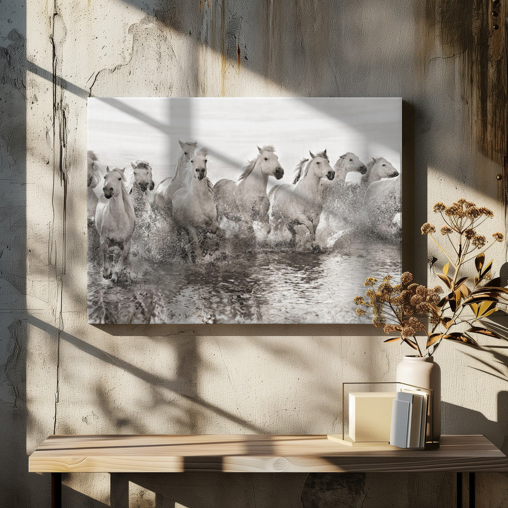 Illusion of power (13 horse power though) | Canvas