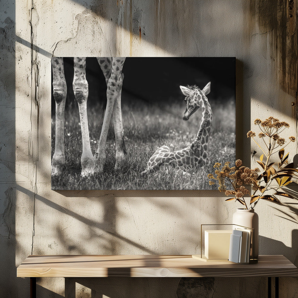 well protected | Canvas