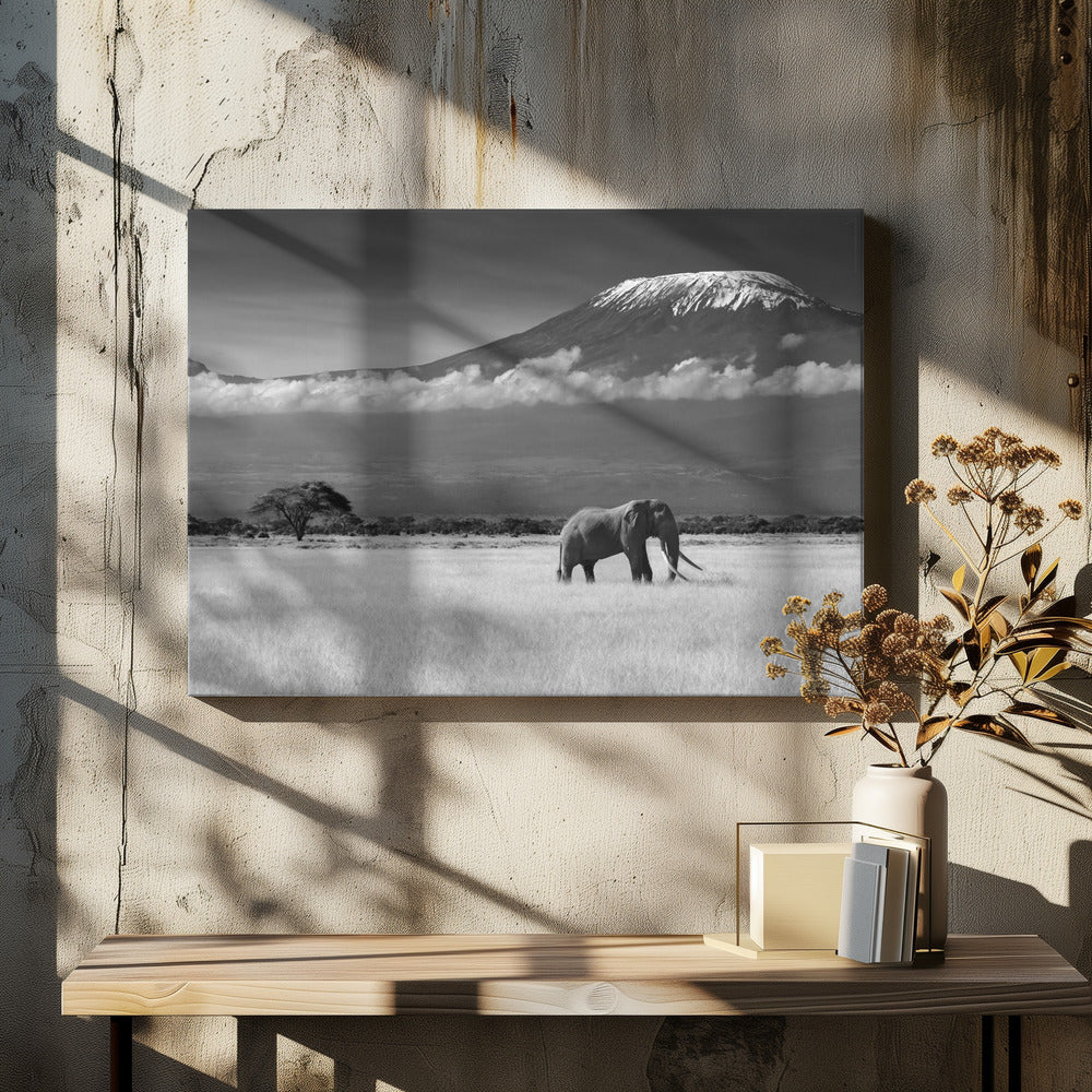 Lost Colors II | Canvas