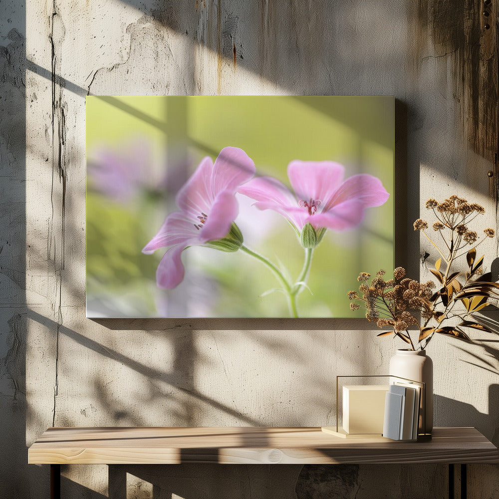 Pink Melody | Canvas