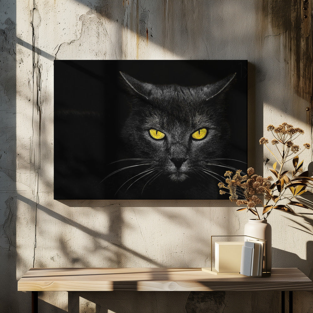 Black Cat | Canvas