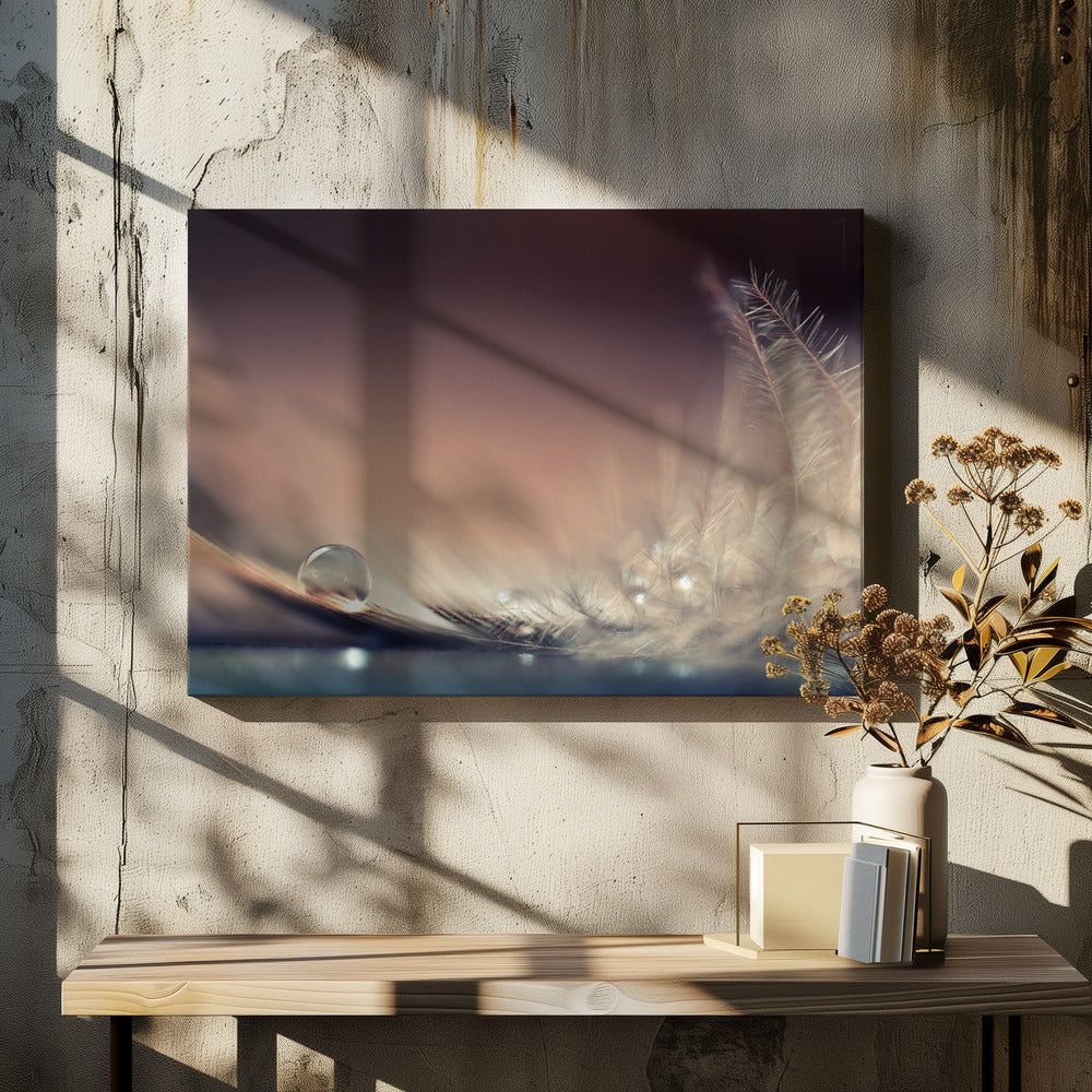 Stories of Drops | Canvas