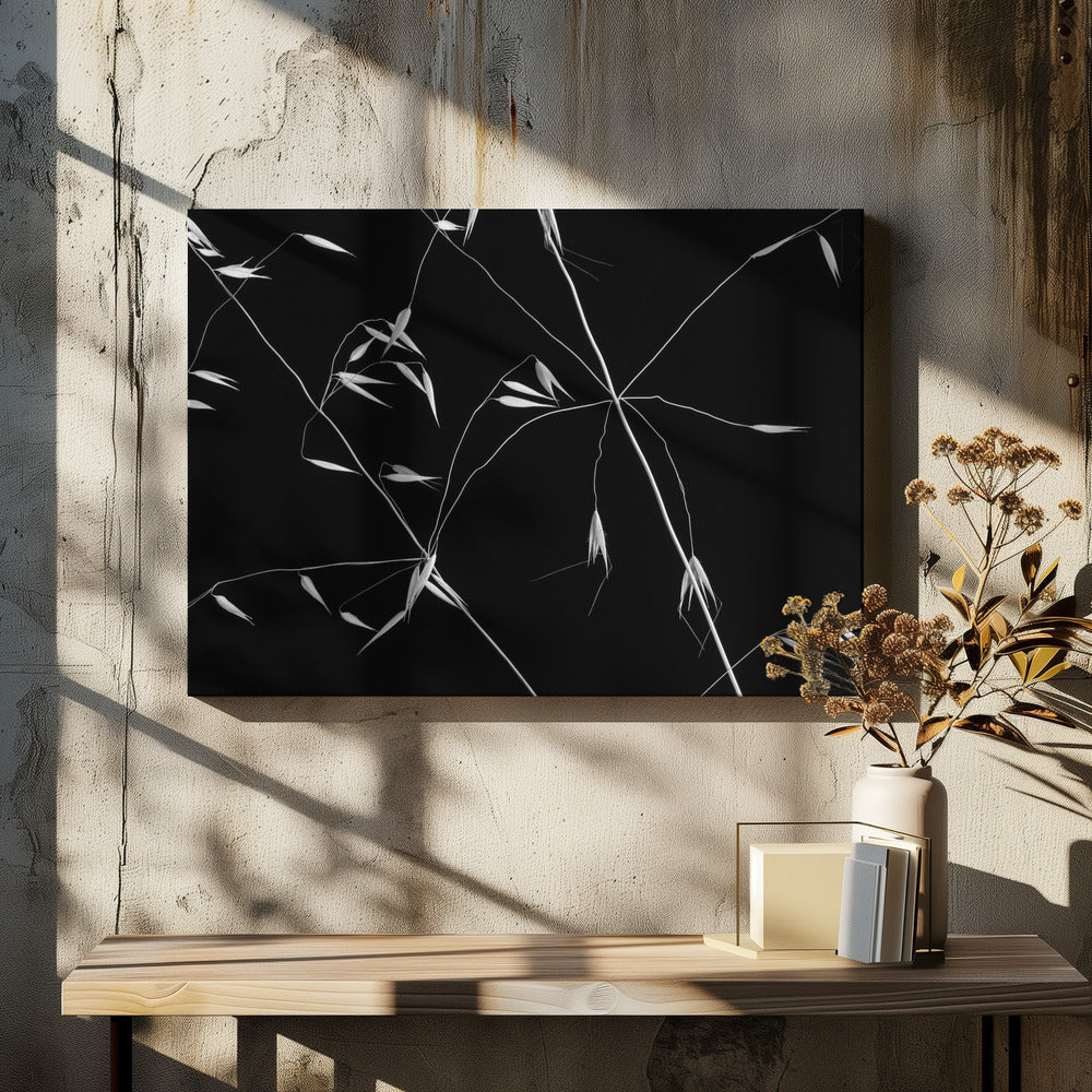 Crossed Lines | Canvas