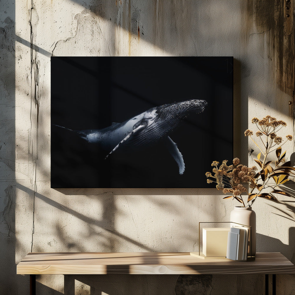 Black &amp; Whale | Canvas