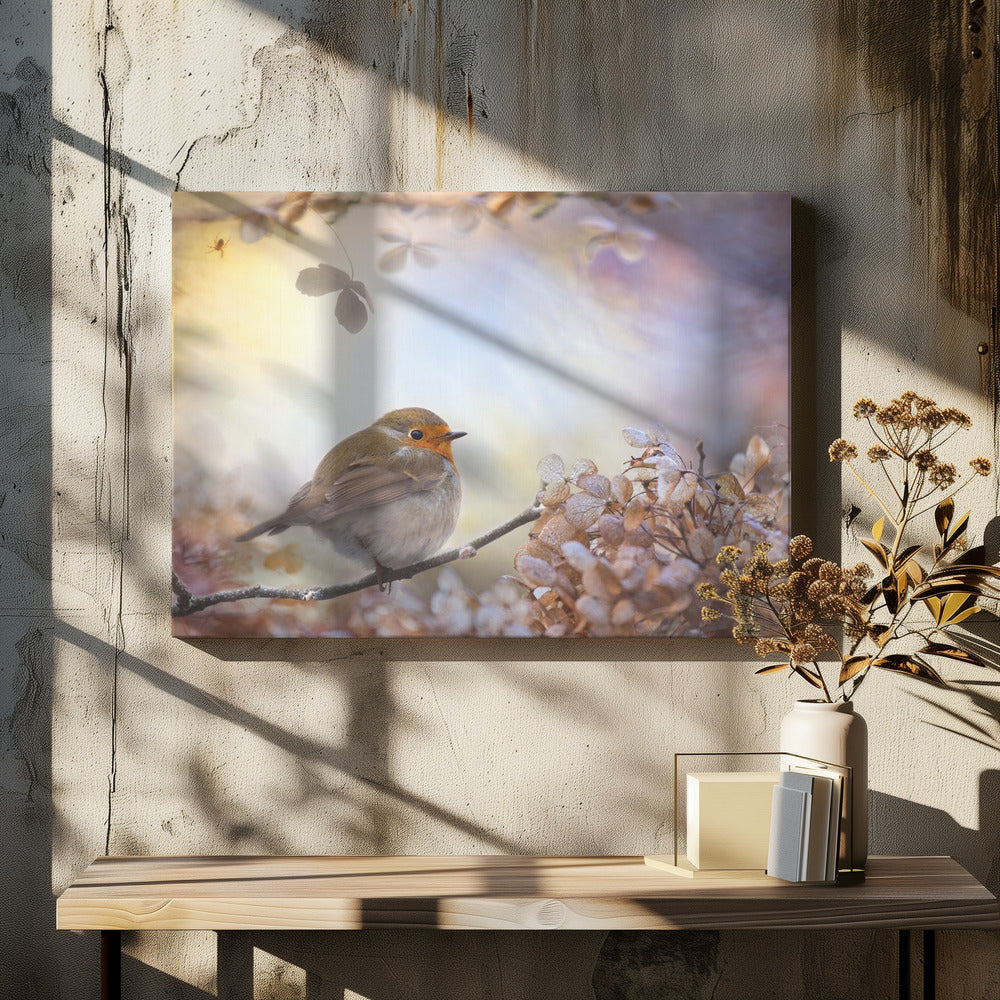 Robin on dreams | Canvas