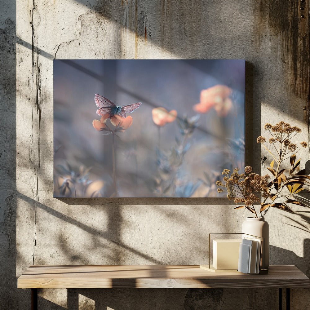 The Lady of Lothlorien | Canvas