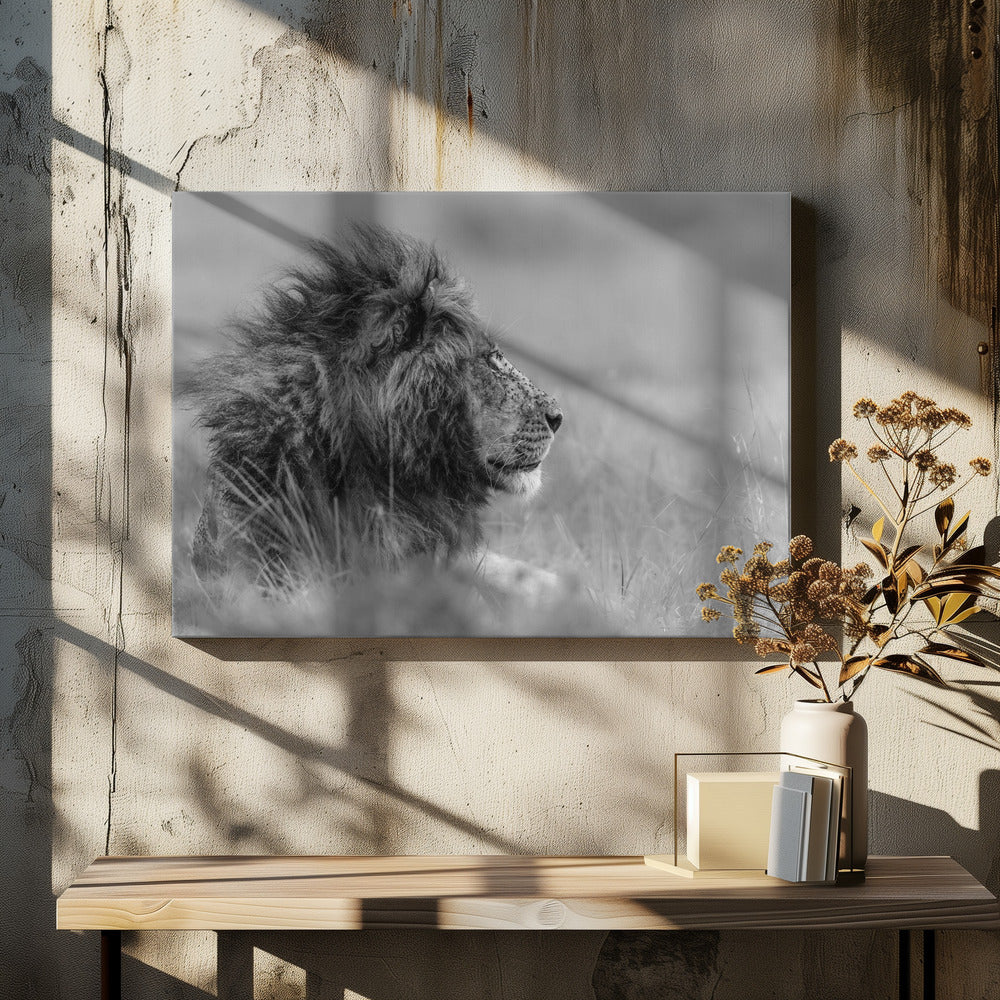 The king is alone | Canvas