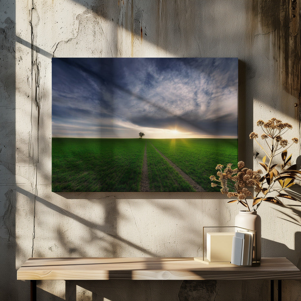 loner in the sun | Canvas