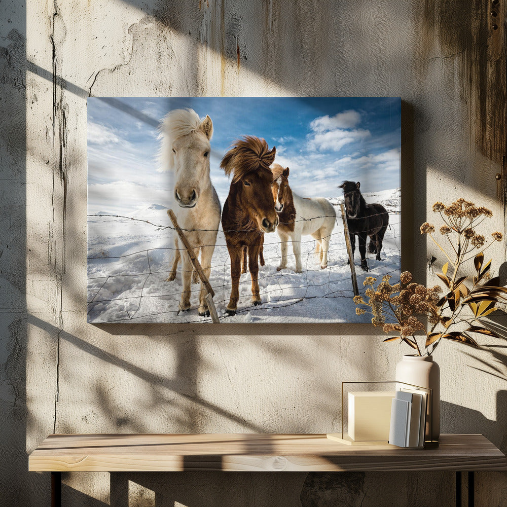 Icelandic Hair Style | Canvas