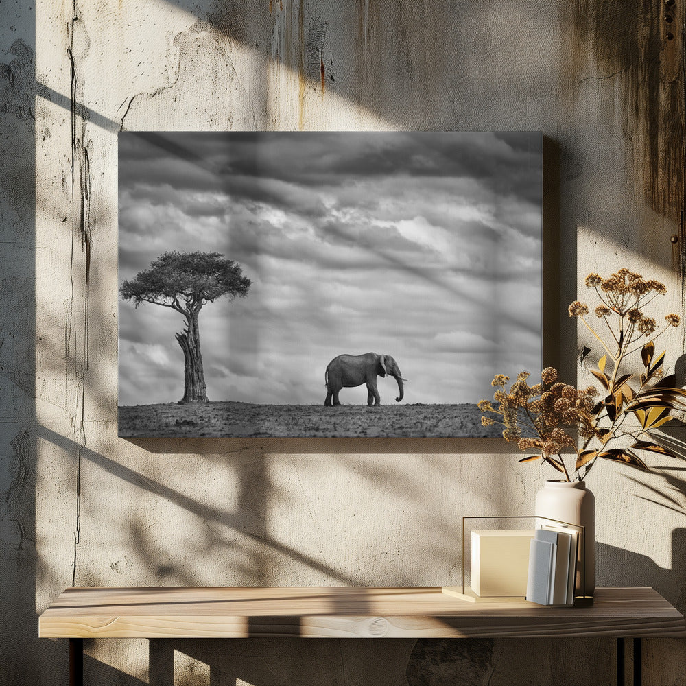 Elephant Landscape | Canvas
