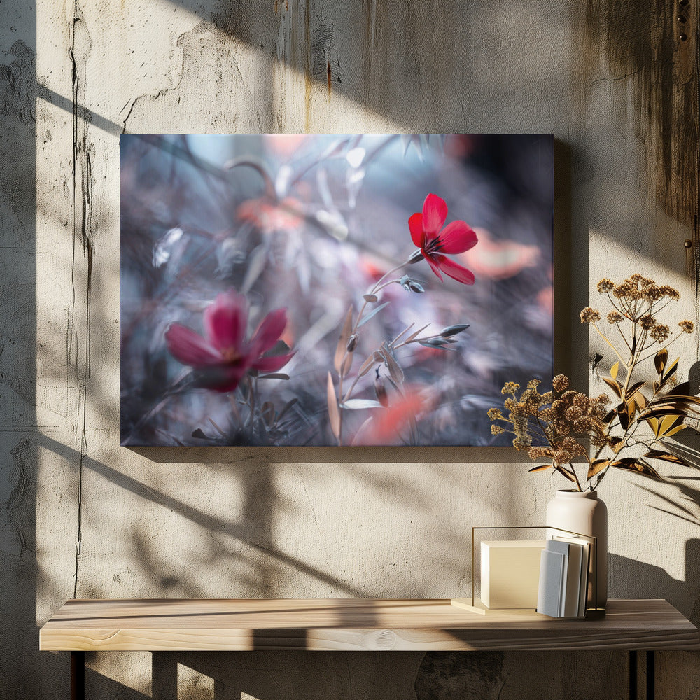 Une Fleur, une Histoire | Canvas