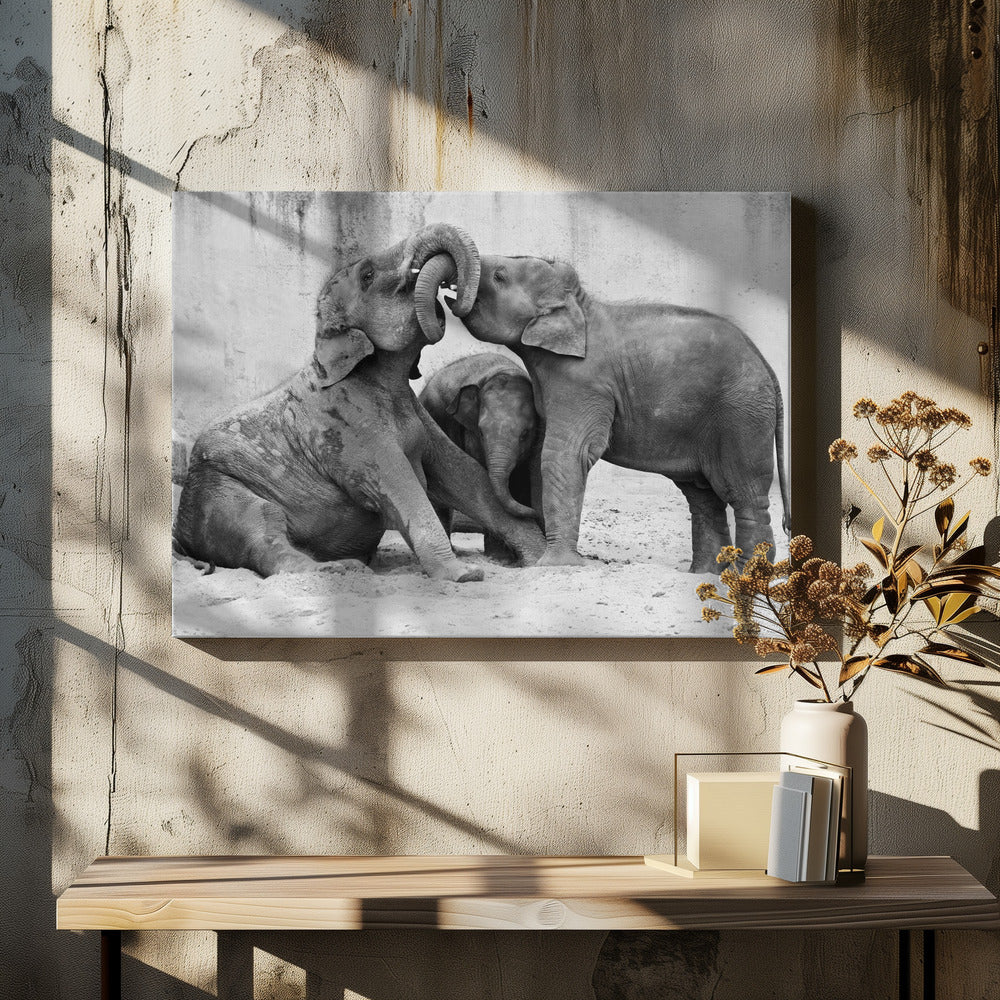 MÃ‰NAGE Ã€ TROIS | Canvas