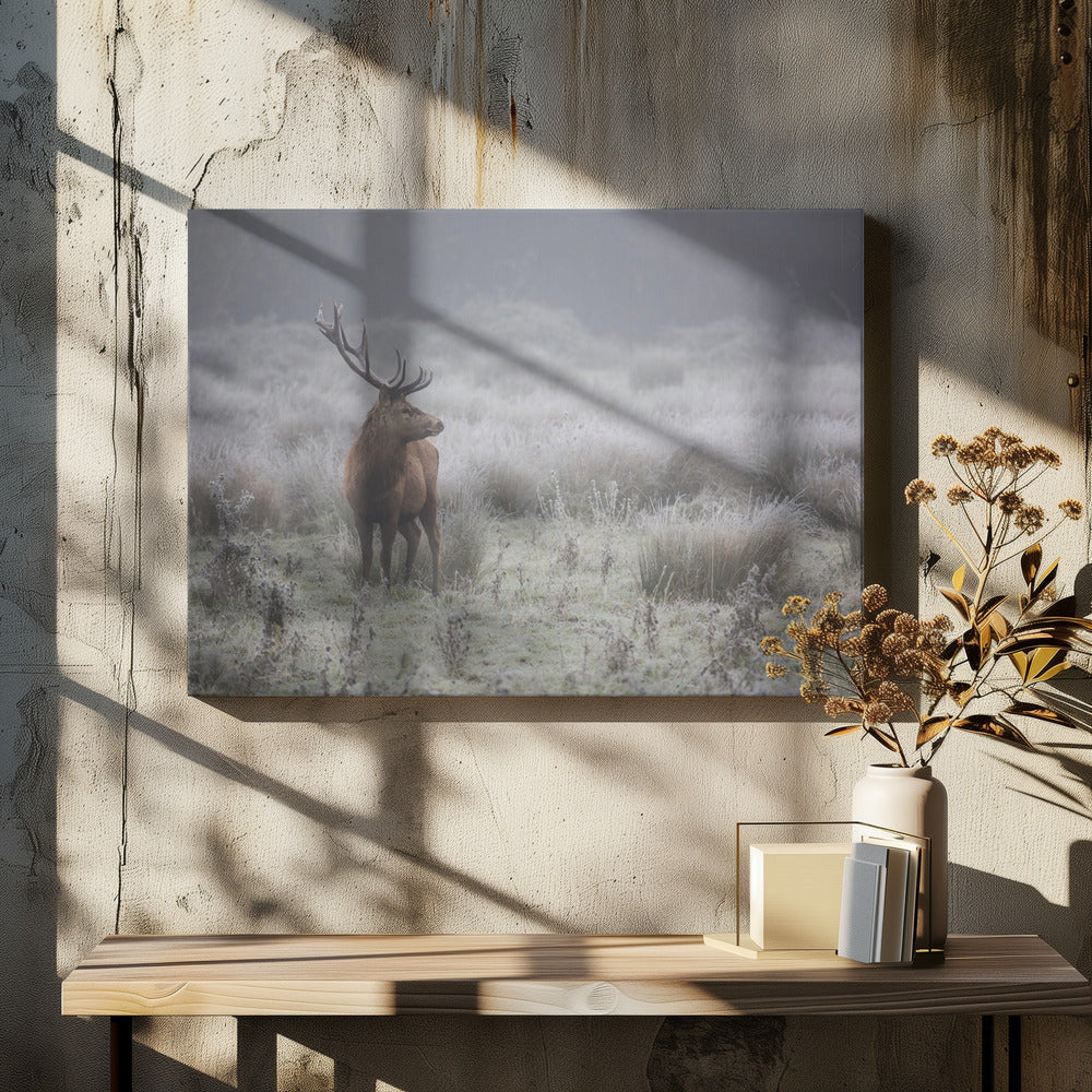 Prideful. deer . | Canvas