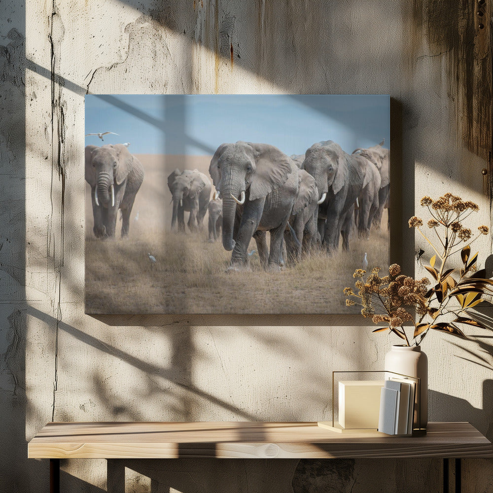 Remember the Titans | Canvas