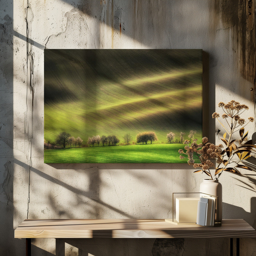 Moravian Fields | Canvas