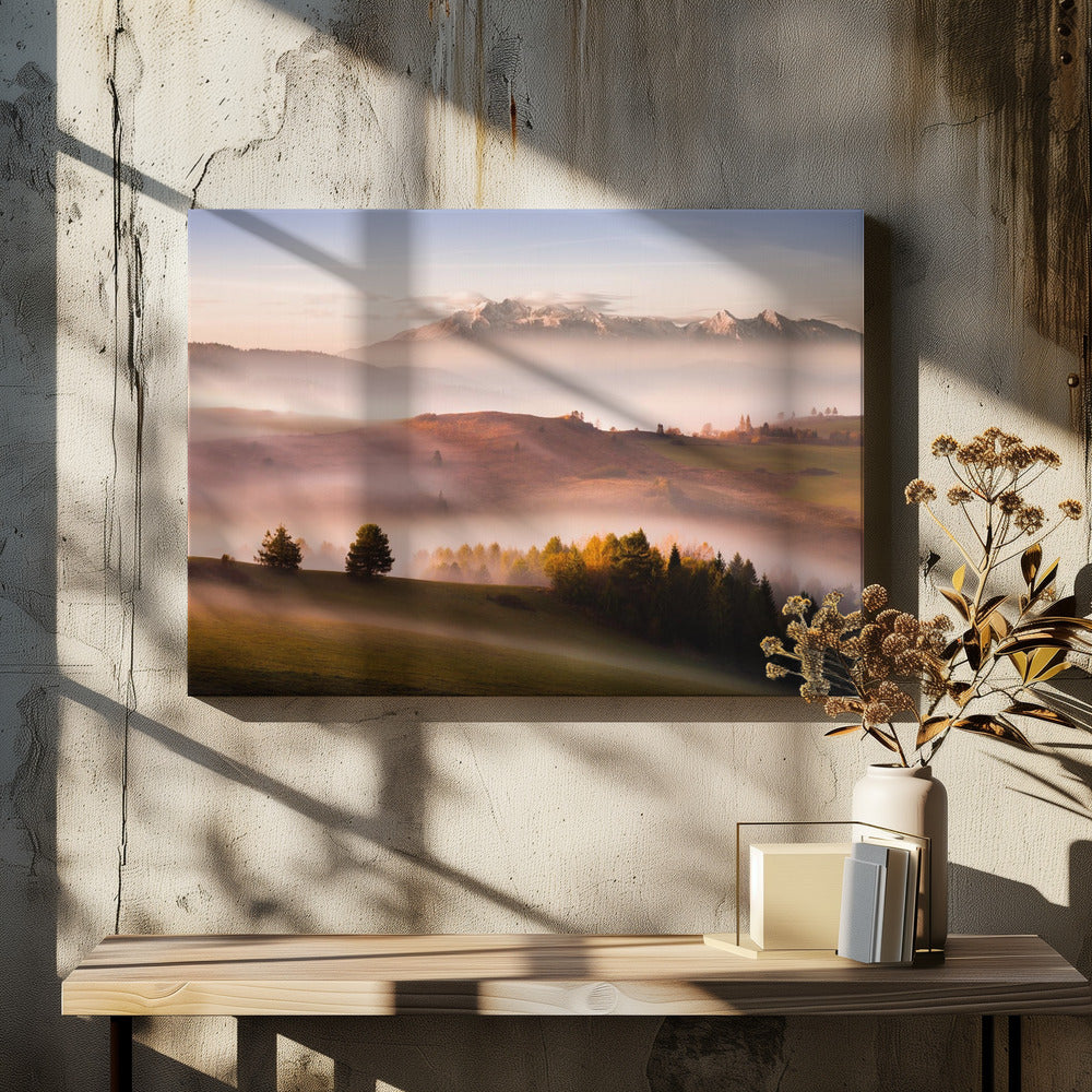 Just a silence | Canvas