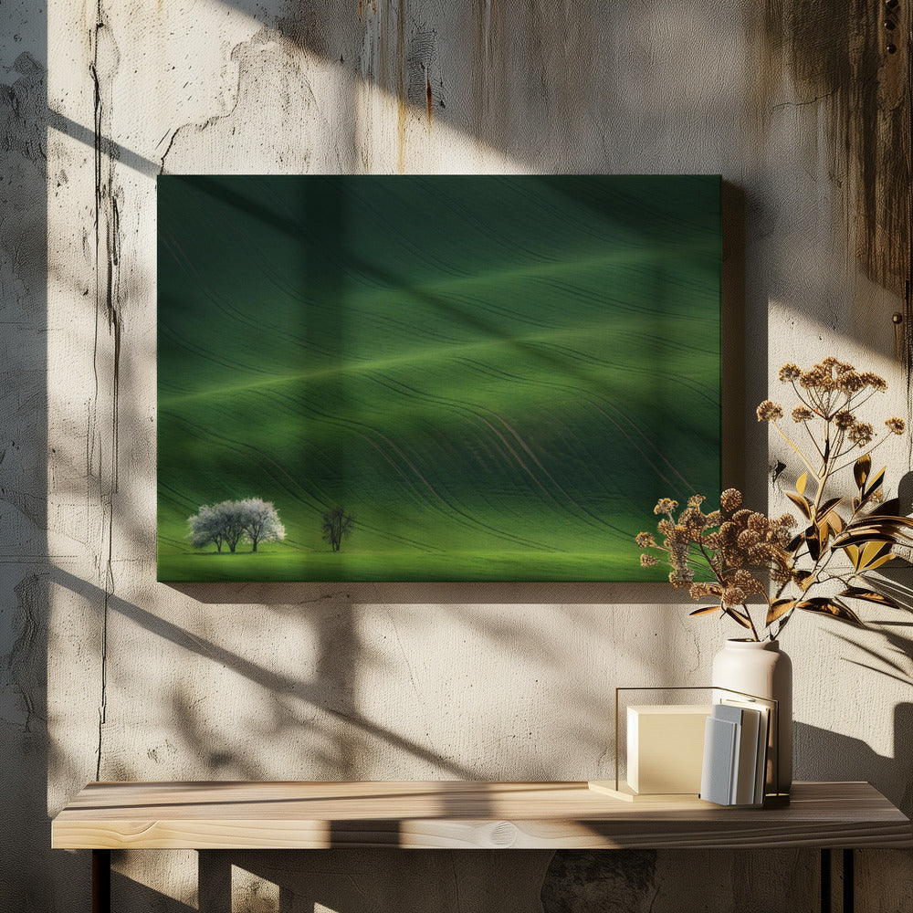 Ladies in White | Canvas