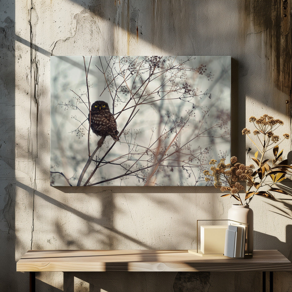 Look at Me! | Canvas