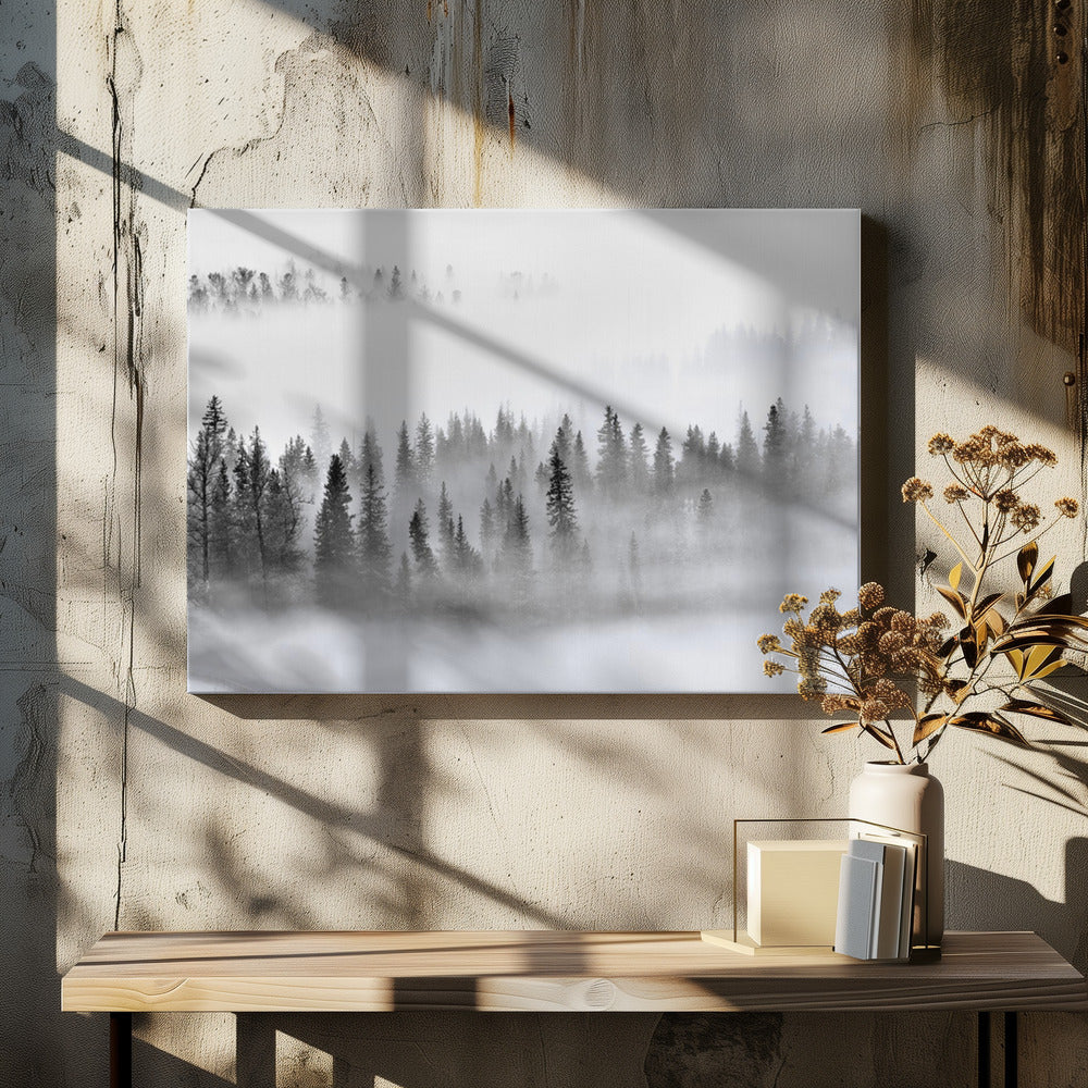 Foggy Forest | Canvas