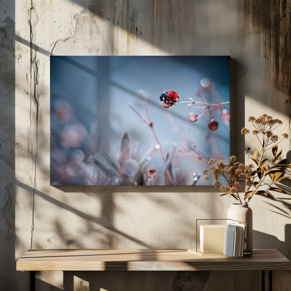 High Diving | Canvas