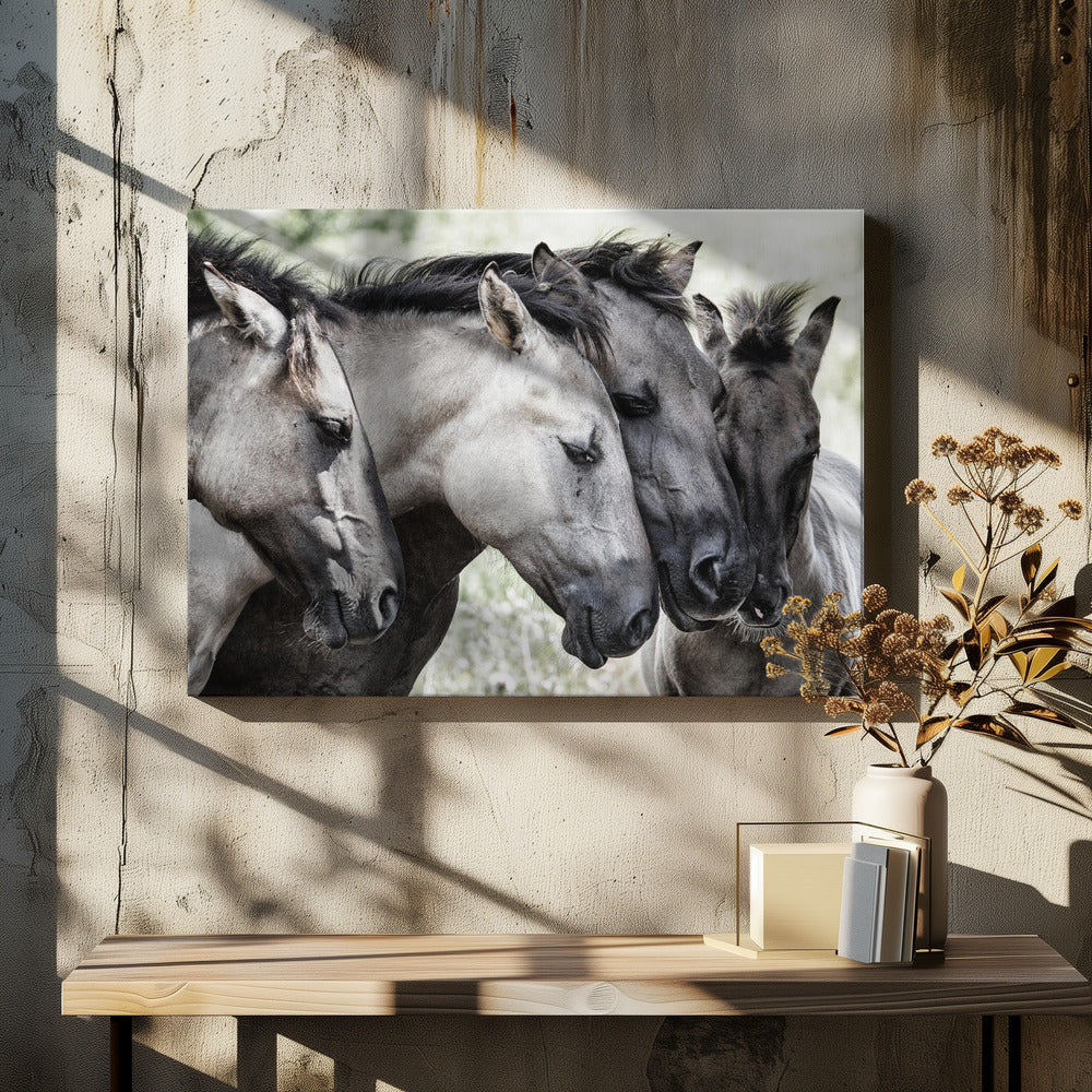 Four Konik Horses | Canvas