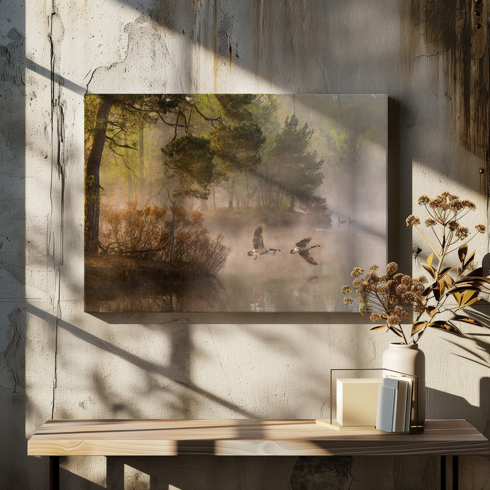 Goose fight | Canvas